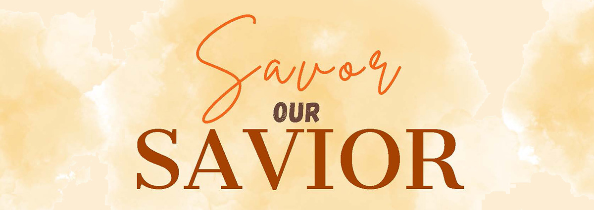 pv-savior-soup1200x425.jpg
